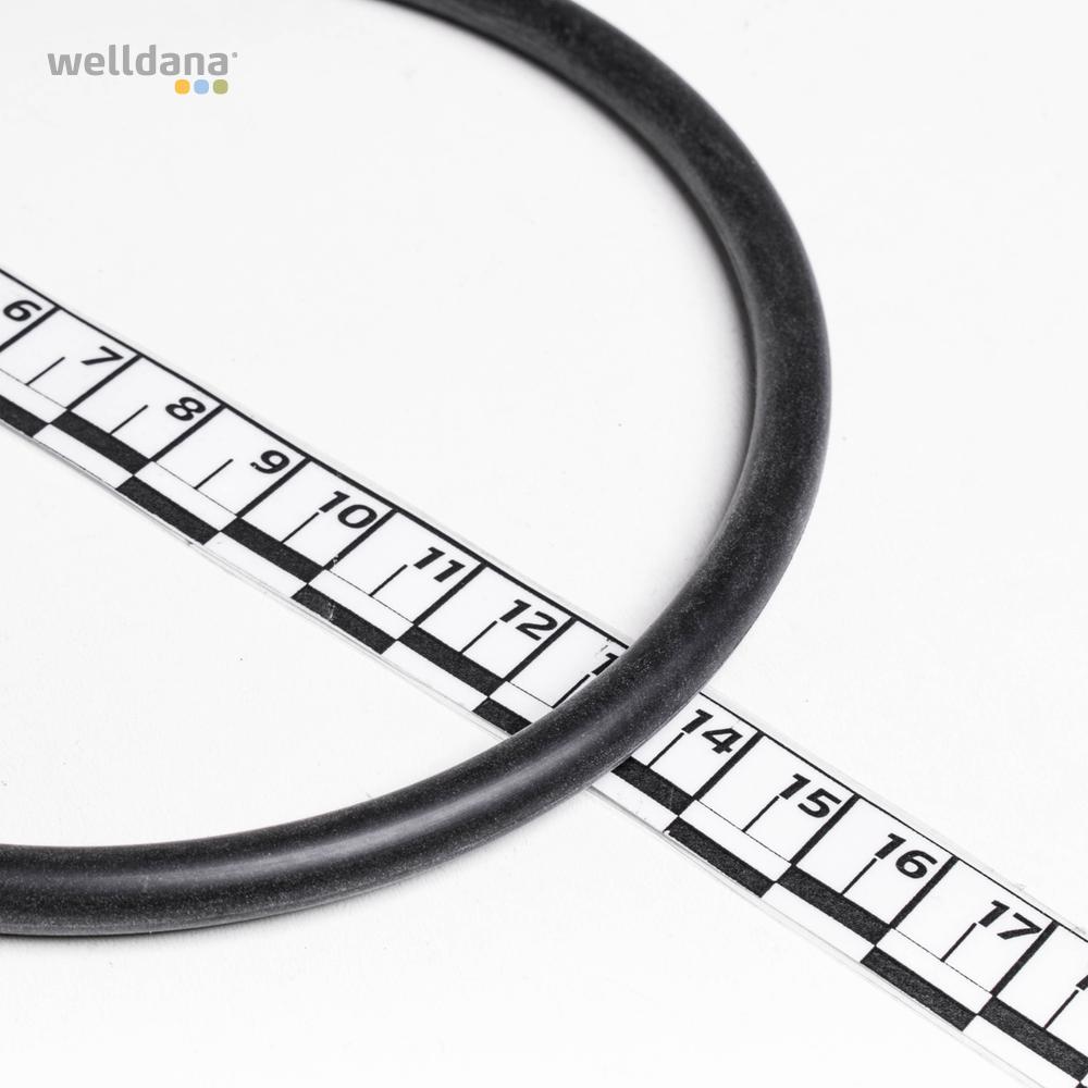 O-ring till pumphus för Max Flo XL