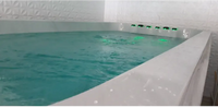 PassionSpa Dynamic Swim-Spa – weiße Ausführung, weißer Innenraum, grüne LED-Beleuchtung