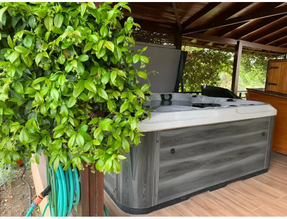 PassionSpa Euphoria Mighty Wave Whirlpool – graue Oberfläche in Holzoptik, weißer Rand