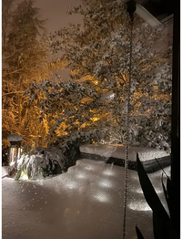 PassionSpa Relax Whirlpool – schneebedeckte Äste in warmem goldenem Licht, bei Nacht
