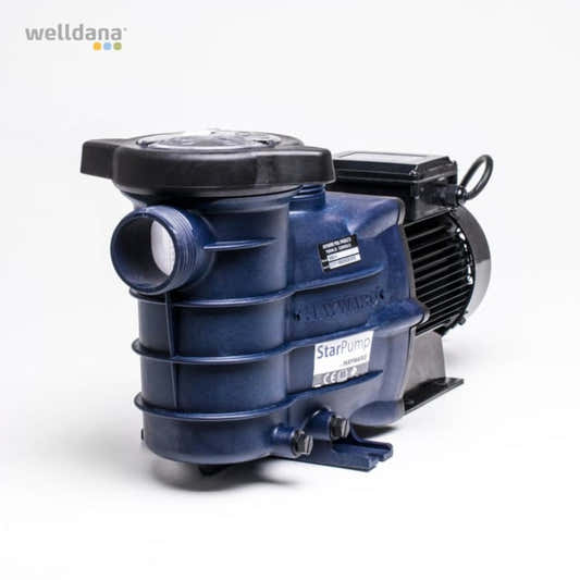 Hayward Power Flow II Poolpumpe