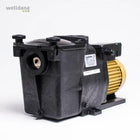 Hayward Super Pump Pro
