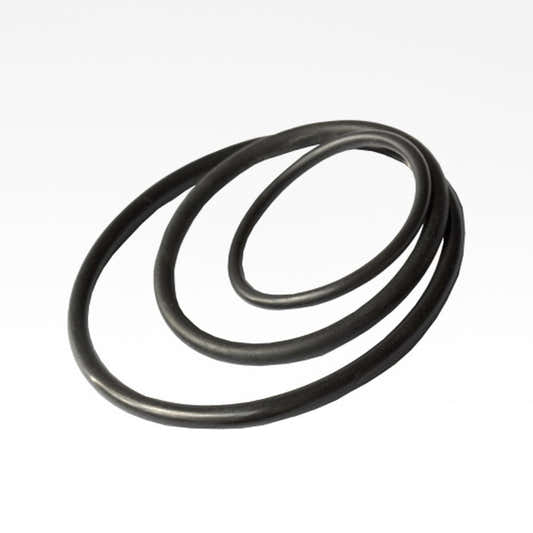 O-Ring für DA-GEN Chlorsensor – 25 × 3 mm